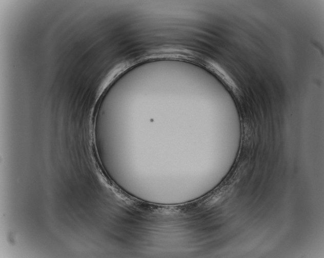 X0000098110994200804040757