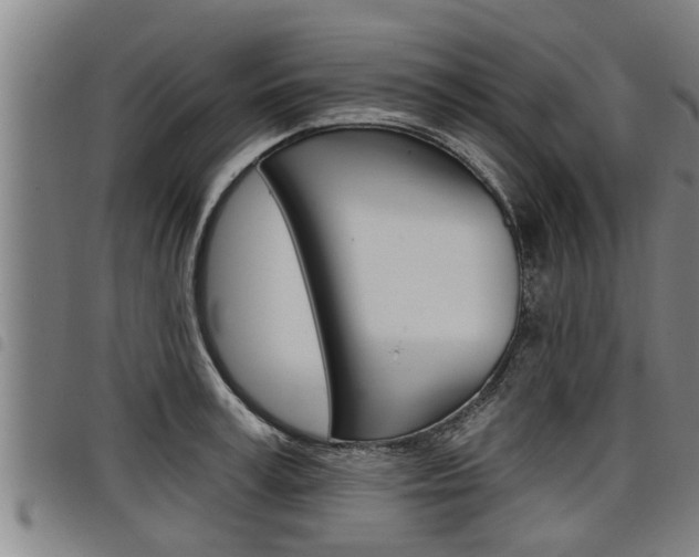 X0000098110995200804040757