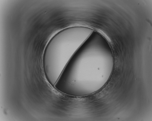 X0000098110996200804040757