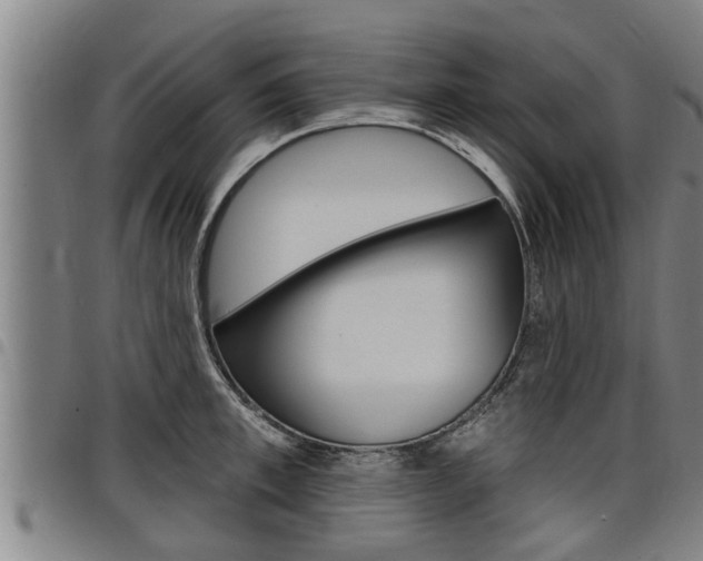 X0000098110997200804040757