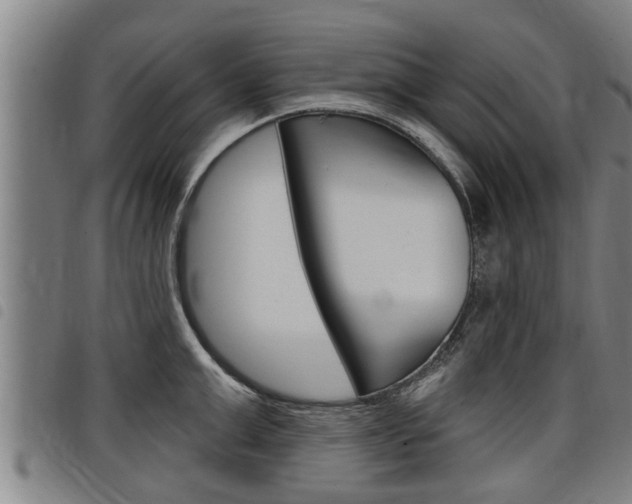 X0000098110999200804040757