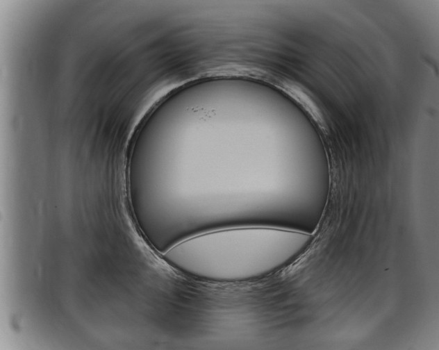 X0000098111000200804040757