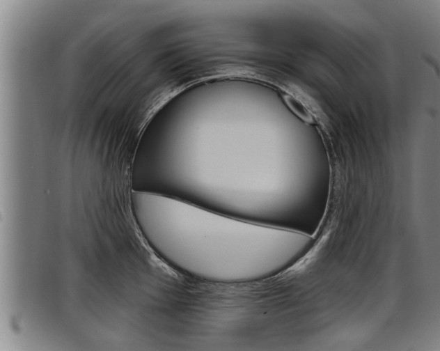 X0000098111001200804040757