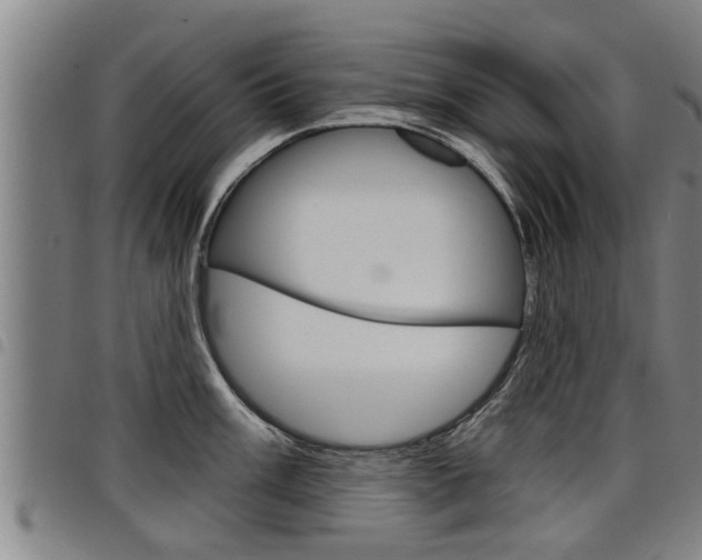 X0000098111003200804040757