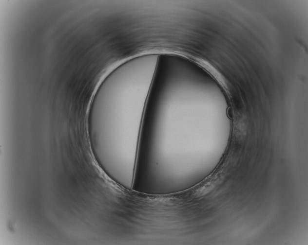 X0000098111004200804040757