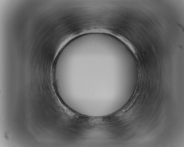 X0000098111006200804040757