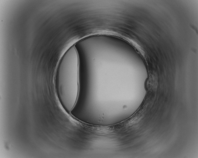 X0000098111007200804040757