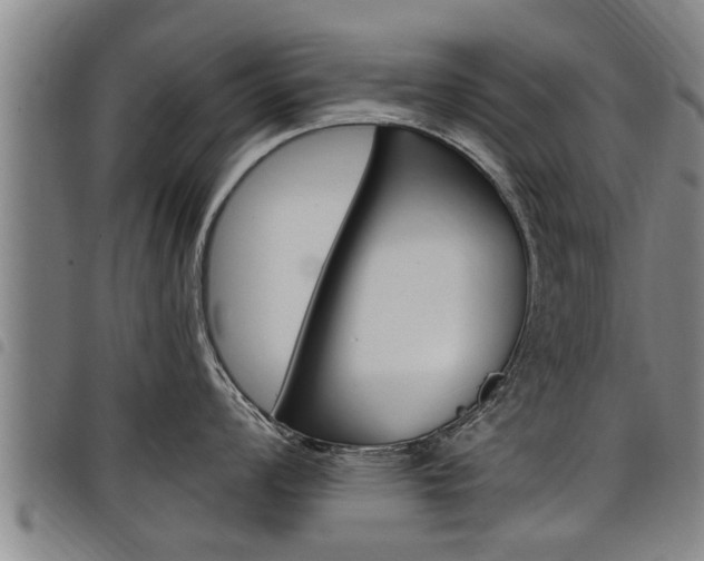 X0000098111008200804040757