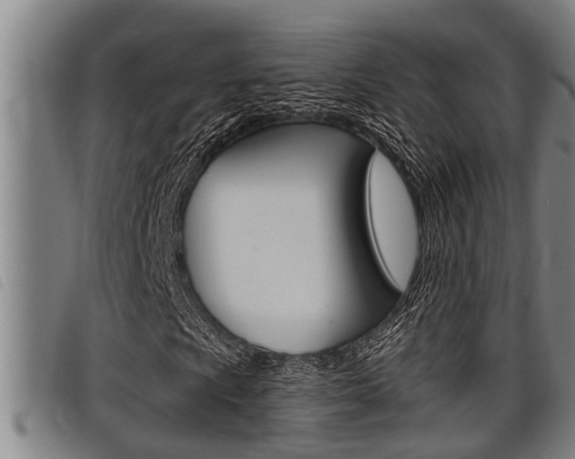 X0000098111009200804040756