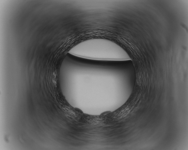 X0000098111010200804040756