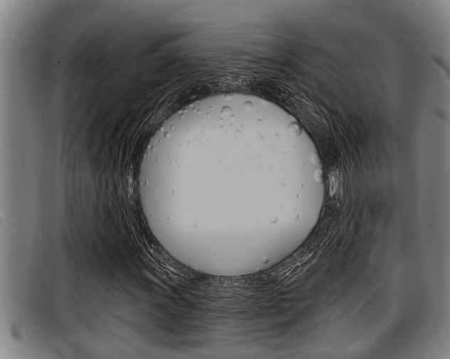 X0000098111011200804040756