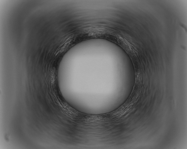 X0000098111012200804040756