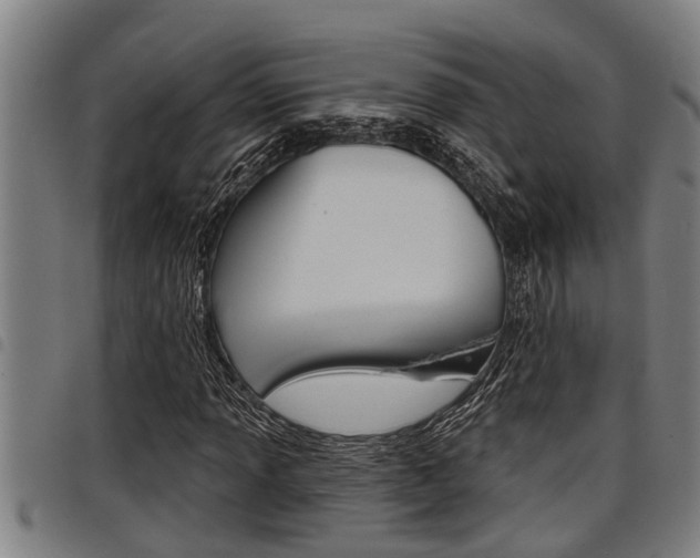 X0000098111013200804040756