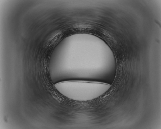 X0000098111014200804040756