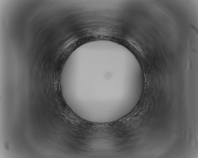 X0000098111015200804040756
