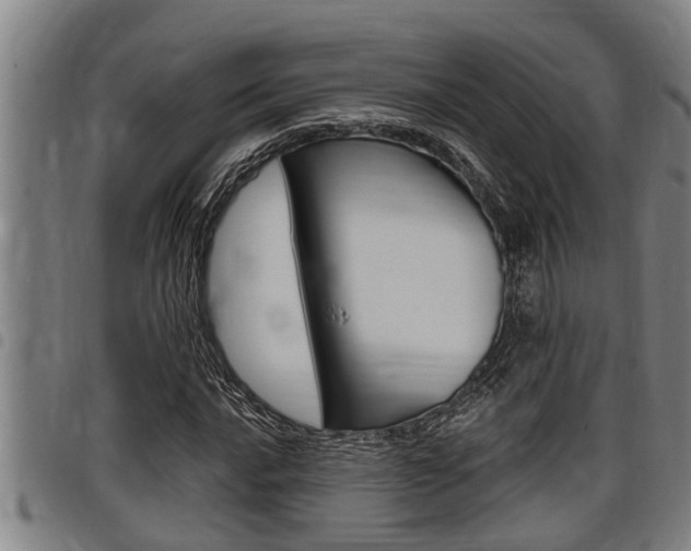 X0000098111016200804040756