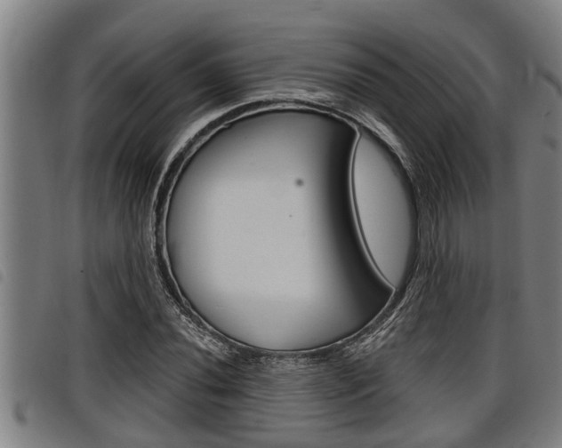 X0000098111020200804040756