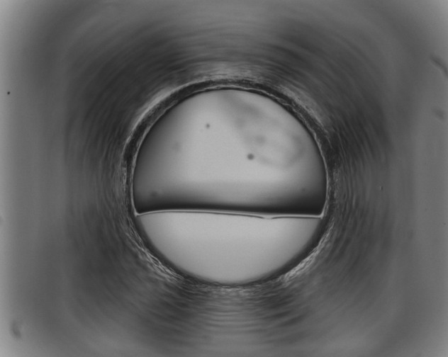 X0000098111021200804040756