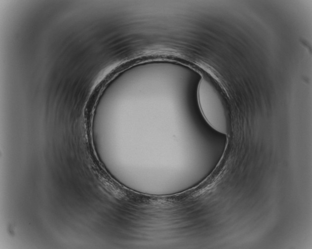 X0000098111022200804040756