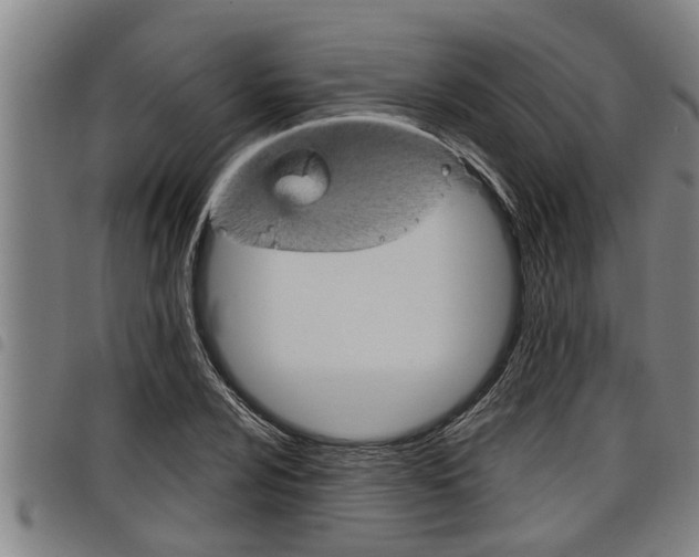 X0000098111024200804040756