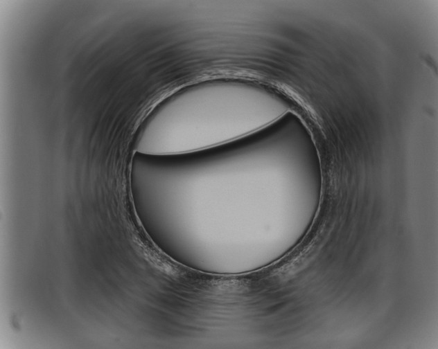X0000098111025200804040756