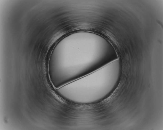 X0000098111026200804040756