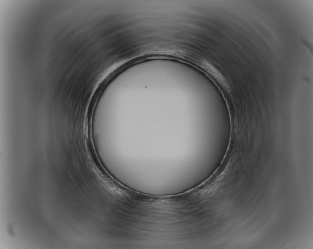 X0000098111028200804040756