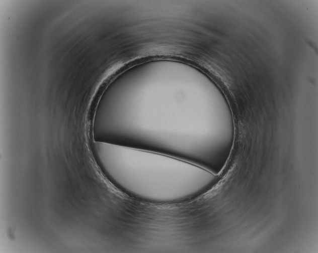 X0000098111029200804040756