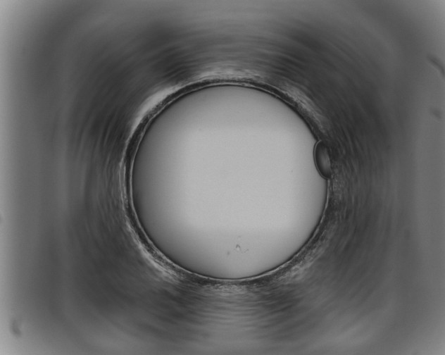 X0000098111030200804040756