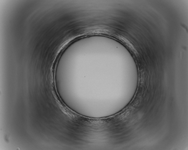 X0000098111031200804040757