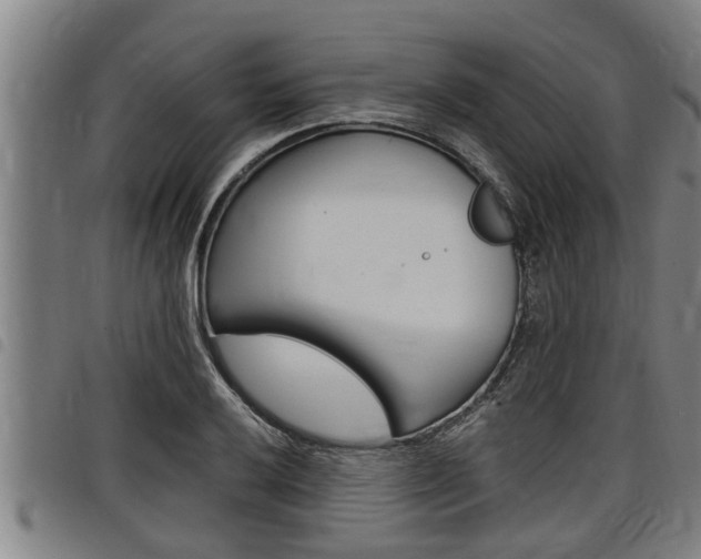 X0000098111032200804040757