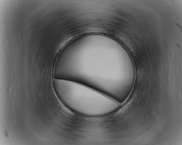 X0000098111033200804040757