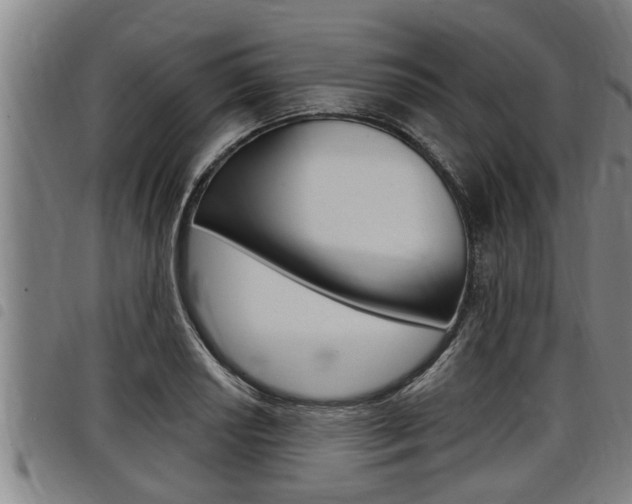 X0000098111034200804040757