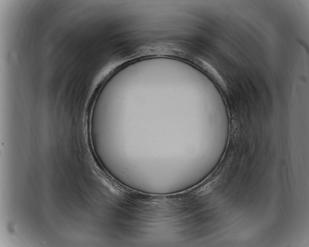 X0000098111035200804040757
