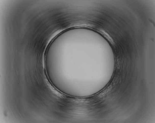 X0000098111036200804040757