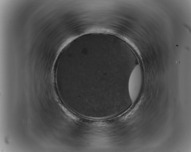 X0000098111037200804040757