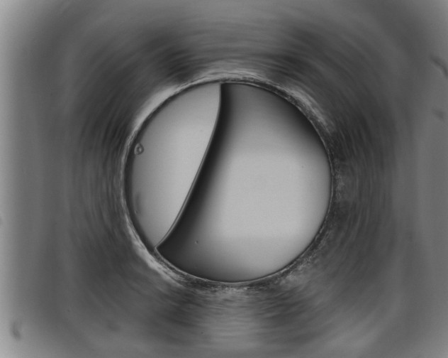 X0000098111038200804040757