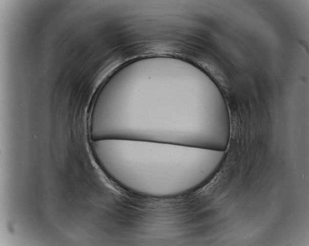 X0000098111039200804040757