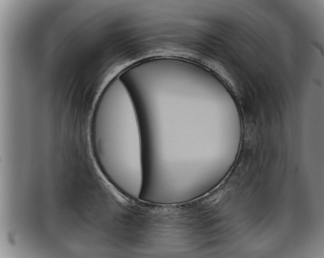 X0000098111040200804040757