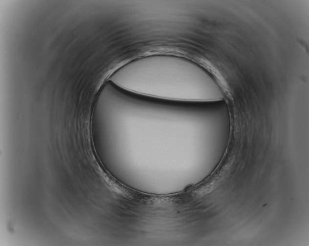 X0000098111041200804040757