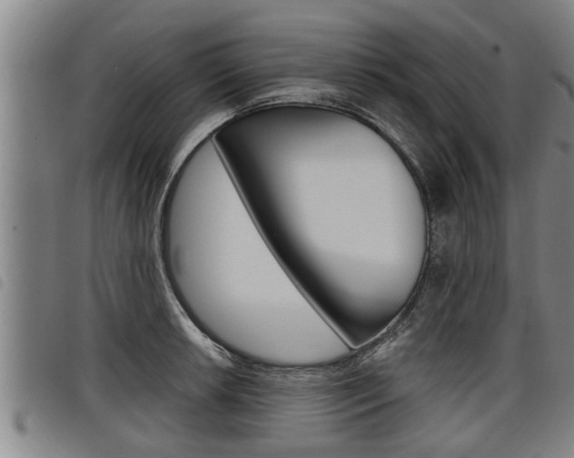 X0000098111042200804040757