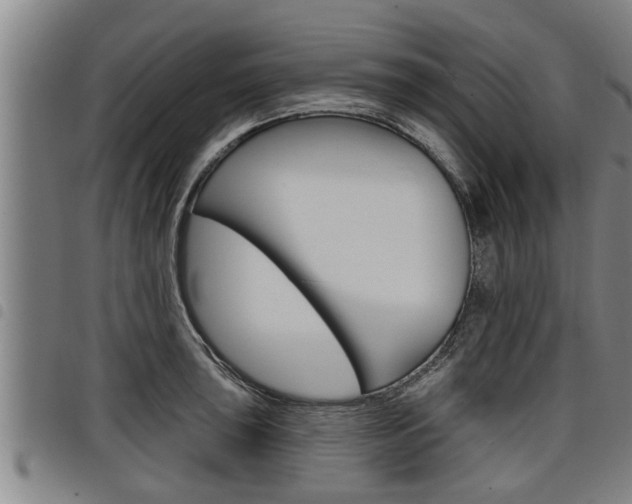 X0000098111043200804040757