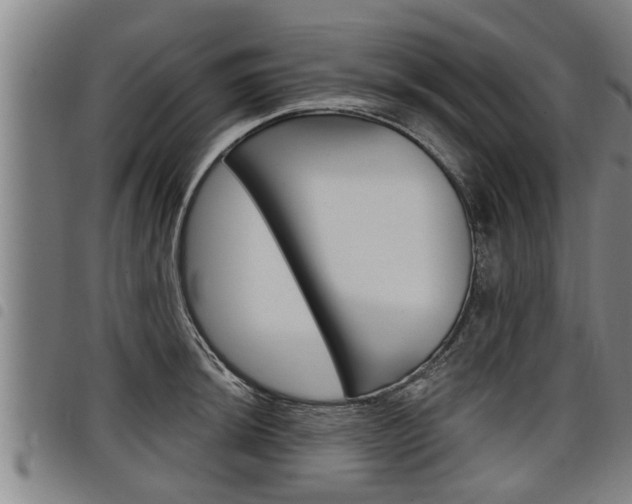 X0000098111044200804040757