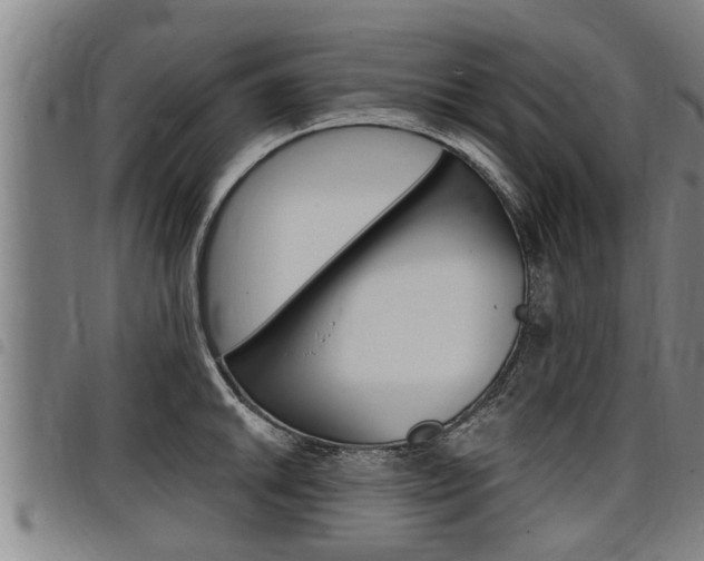 X0000098111046200804040757