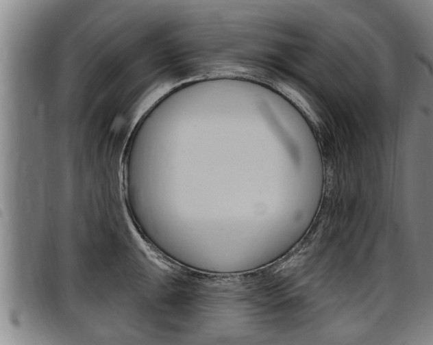 X0000098111047200804040757
