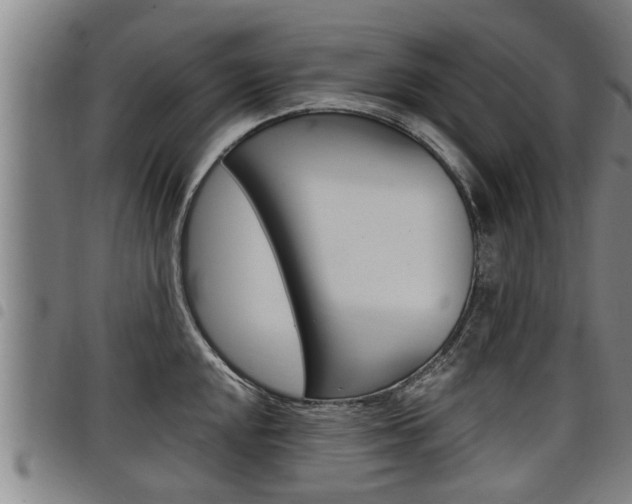 X0000098111048200804040757