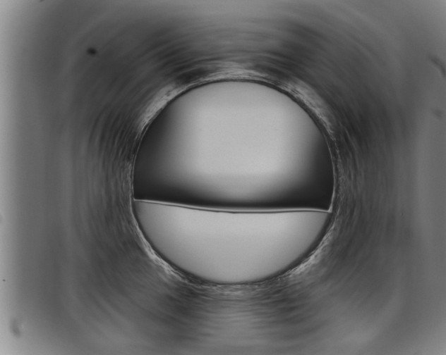 X0000098111049200804040757