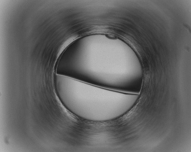 X0000098111050200804040757