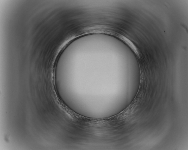 X0000098111051200804040757