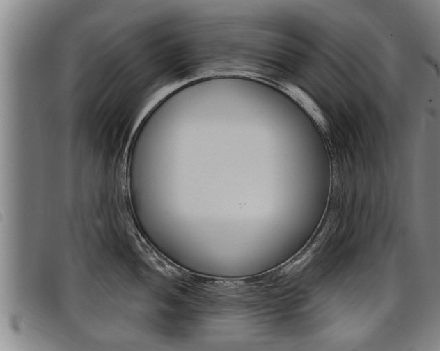 X0000098111052200804040757